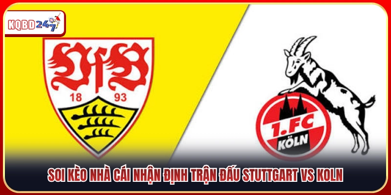 Dự đoán tỷ lệ cược màn đụng độ Stuttgart vs Koln 